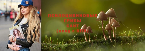 a pvp Абдулино